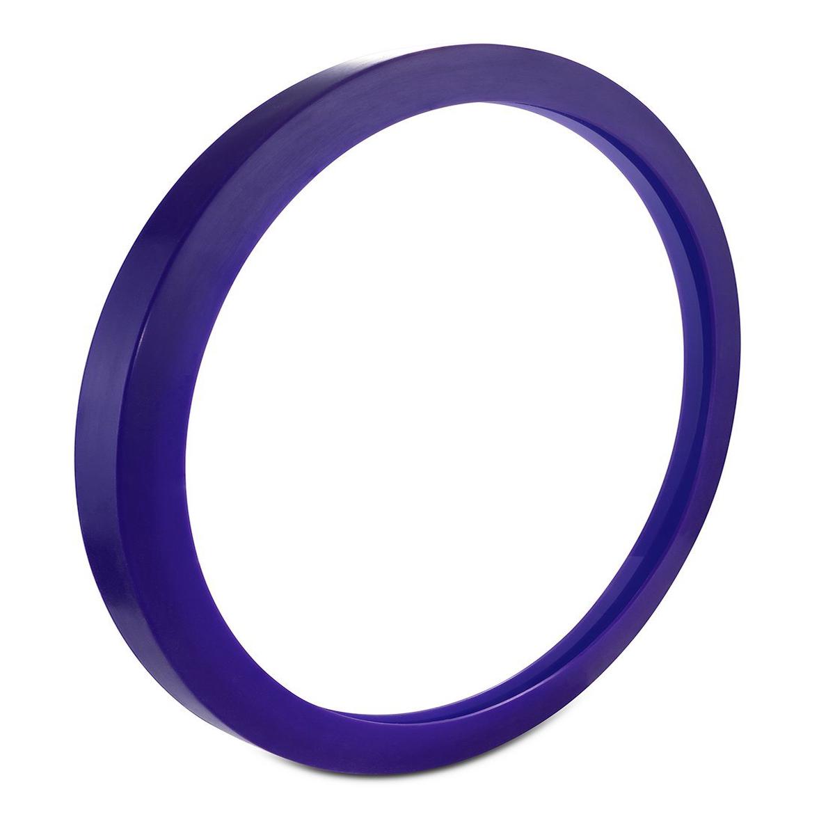 16.75" Vacuum Chamber Gasket